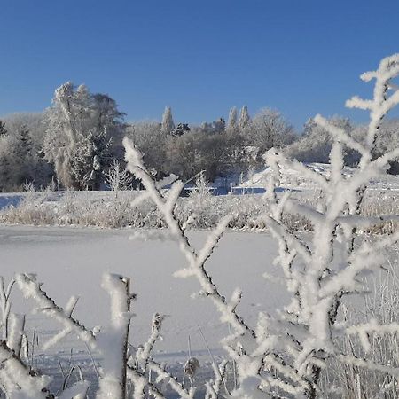 Orzechowy Dworek Nowy Dwór Gdański Zewnętrze zdjęcie