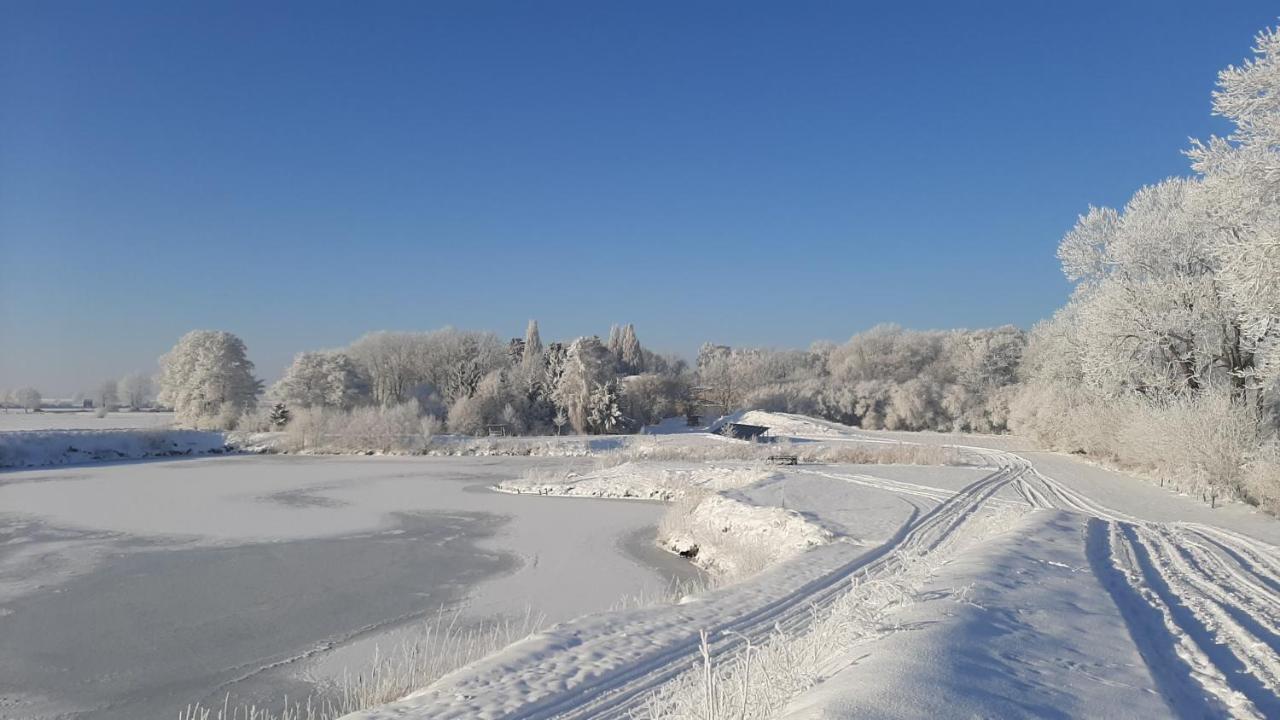 Orzechowy Dworek Nowy Dwór Gdański Zewnętrze zdjęcie